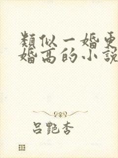 类似一婚更比一婚高的小说