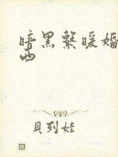暗黑系暖婚顾南西