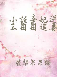 小说弃妃逆袭邪王日日追妻忙