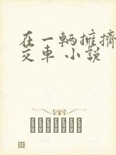 在一辆拥挤的公交车 小说