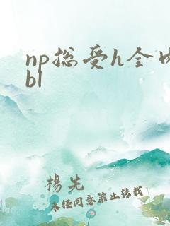 np总受h全肉bl