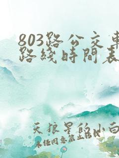 803路公交车路线时间表几点一趟