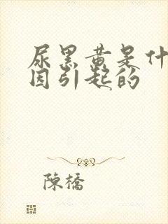 尿黑黄是什么原因引起的