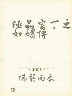 极品家丁之安碧如媚传