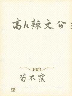 高h辣文公交