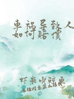 车祸导致人受伤如何赔偿