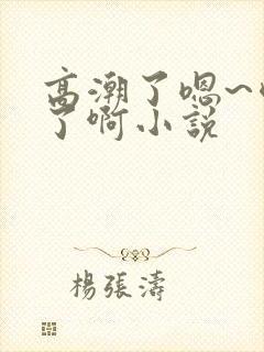 高潮了嗯~喷水了啊小说