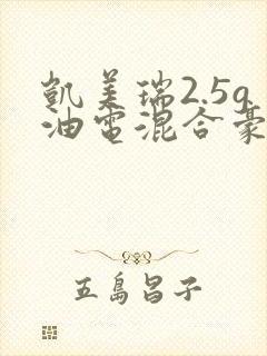 凯美瑞2.5g油电混合豪华版