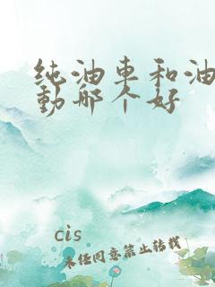 纯油车和油电混动哪个好