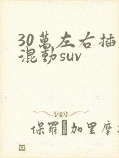 30万左右插电混动suv