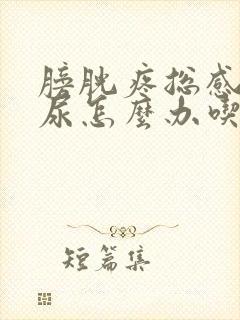 膀胱疼总感觉有尿怎么办吃什么药