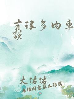 有很多肉车的小说