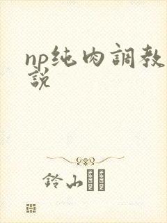 np纯肉调教小说