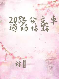 20路公交车经过的站点