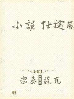 小说 仕途风流
