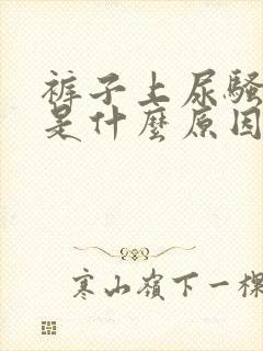 裤子上尿骚味重是什么原因