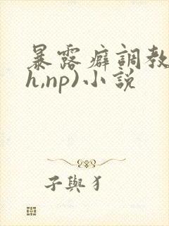 暴露癖调教(高h,np)小说