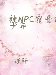 被NPC宠爱的少年