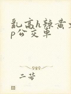 乱高h辣黄文np公交车
