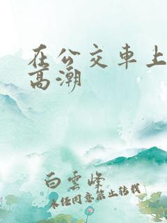 在公交车上做到高潮