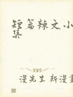 短篇辣文小说合集