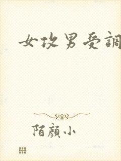 女攻男受调教h