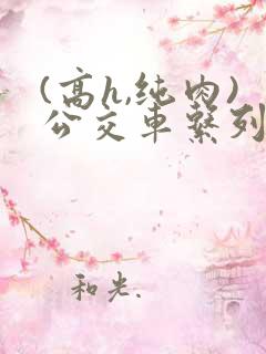 (高h,纯肉)公交车系列