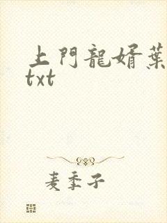 上门龙婿叶公子txt