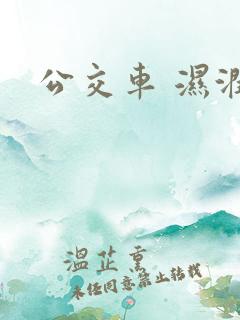 公交车 湿润