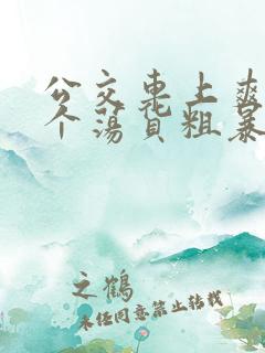 公交车上爽死你个荡货粗暴小说