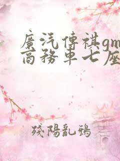 广汽传祺gm8商务车七座