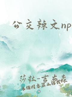 公交辣文np
