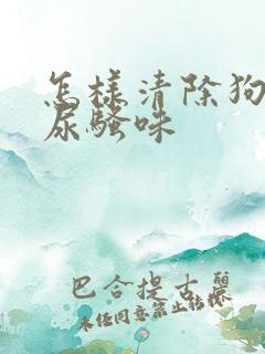 怎样清除狗狗的尿骚味