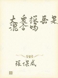 大众探岳是油电混合吗