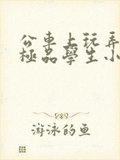 公车上玩弄两个极品学生小说
