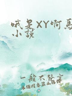 哦是XY啊马仔小说