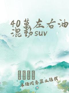 40万左右油电混动suv