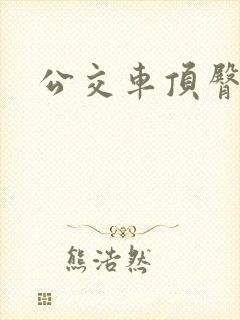 公交车顶臀