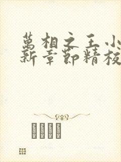 万相之王小说最新章节精校版