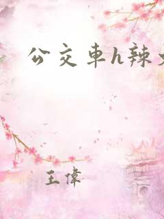 公交车h辣文