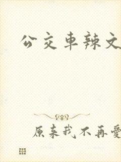 公交车辣文h