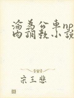 沦为公车np纯肉调教小说推荐