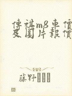 传祺m8车价格及图片报价
