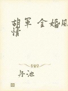 胡军 金婚风雨情