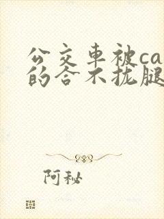 公交车被cao的合不拢腿