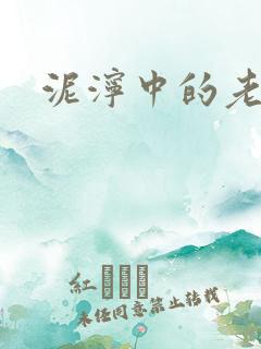 泥泞中的老虎