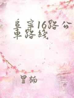 阜宁16路公交车路线