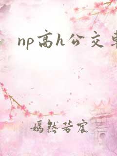 np高h公交车