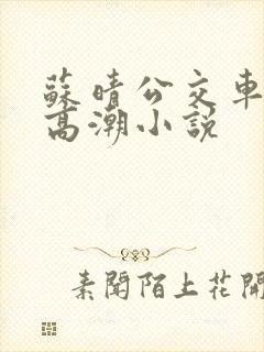 苏晴公交车被弄高潮小说