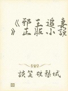《邪王追妻苏洛》正版小说